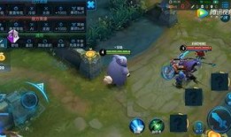 高能英雄最新英雄爆料猫,高能英雄全新神秘英雄猫爆料揭秘